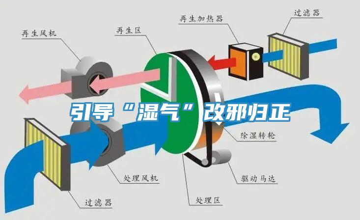 引导“湿气”改邪归正