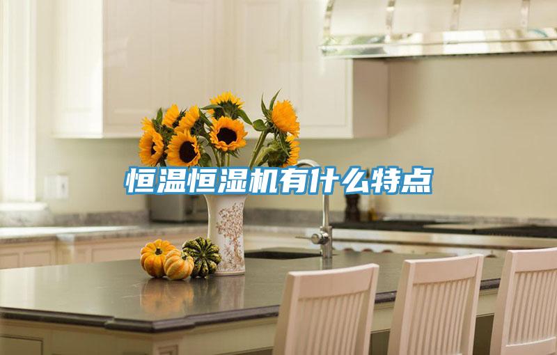 恒温恒湿机有什么特点
