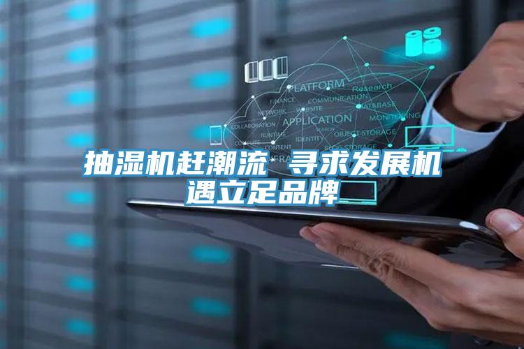 抽湿机赶潮流 寻求发展机遇立足品牌