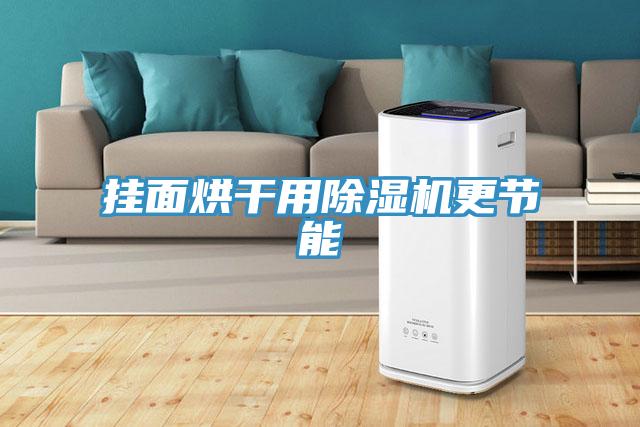 挂面烘干用除湿机更节能