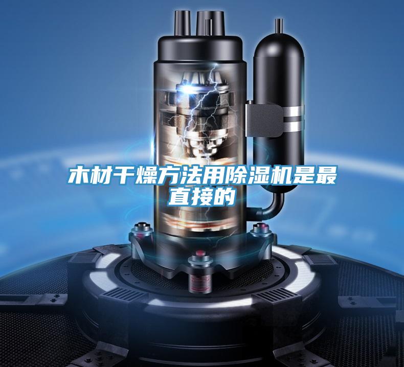 木材干燥方法用除湿机是最直接的
