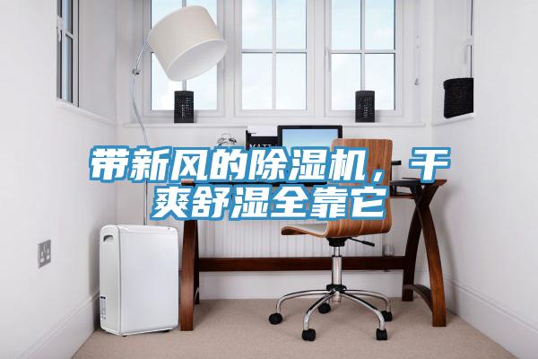 带新风的除湿机,干爽舒湿全靠它