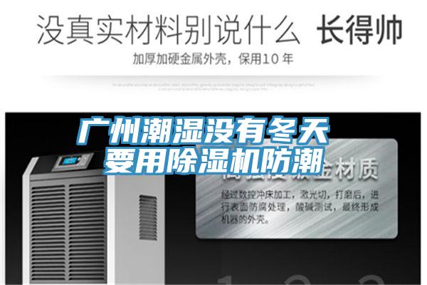广州潮湿没有冬天 要用除湿机防潮
