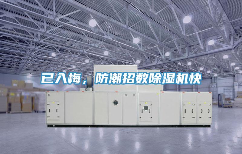 已入梅，防潮招数除湿机快