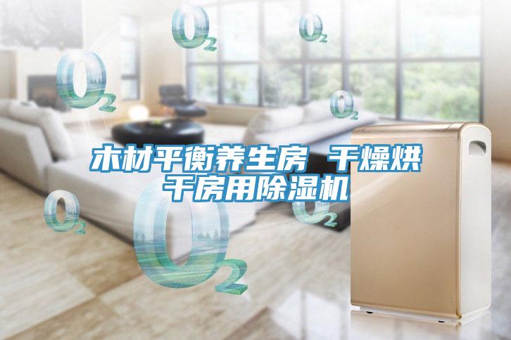 木材平衡养生房 干燥烘干房用除湿机