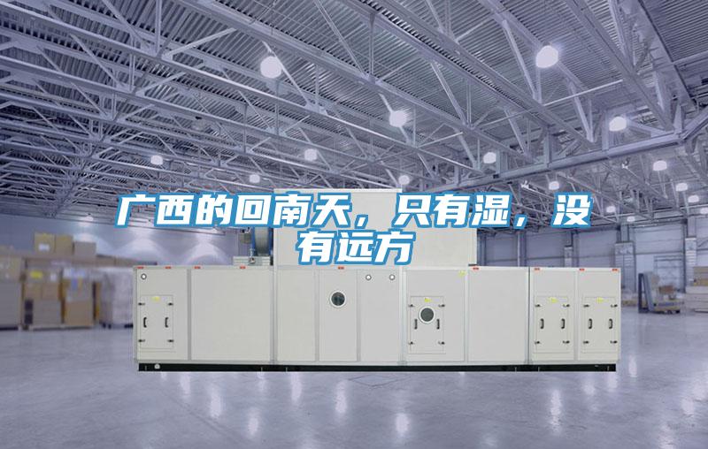 广西的回南天，只有湿，没有远方