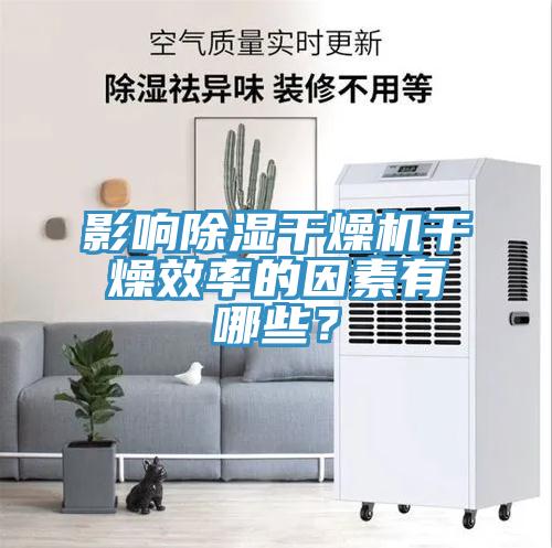 影响除湿干燥机干燥效率的因素有哪些？