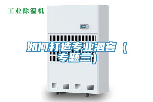 如何打造专业酒窖（专题三）