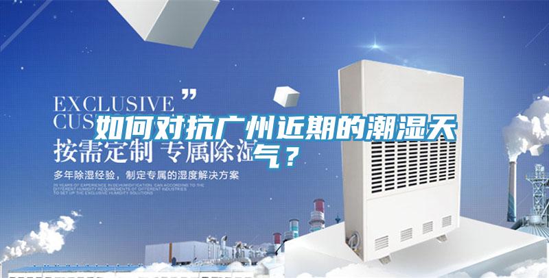如何对抗广州近期的潮湿天气？