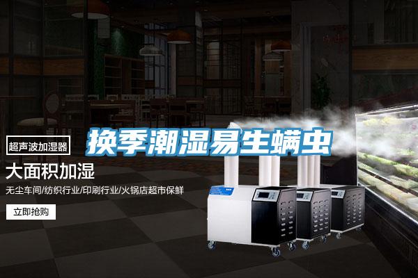 换季潮湿易生螨虫