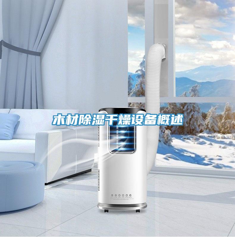 木材除湿干燥设备概述