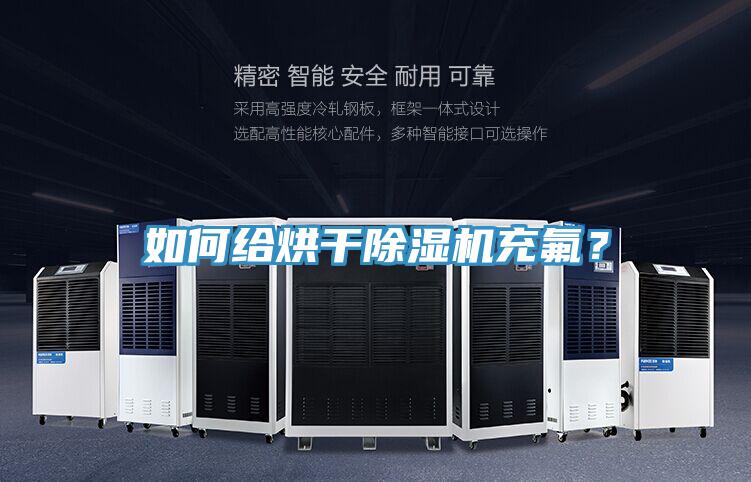 如何给烘干除湿机充氟？