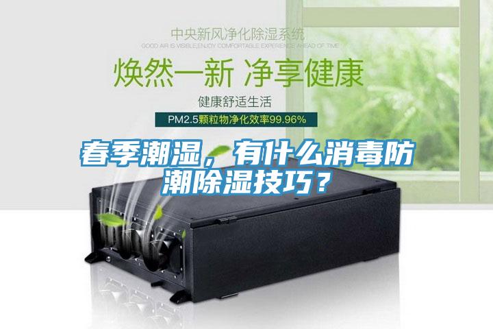 春季潮湿，有什么消毒防潮除湿技巧？