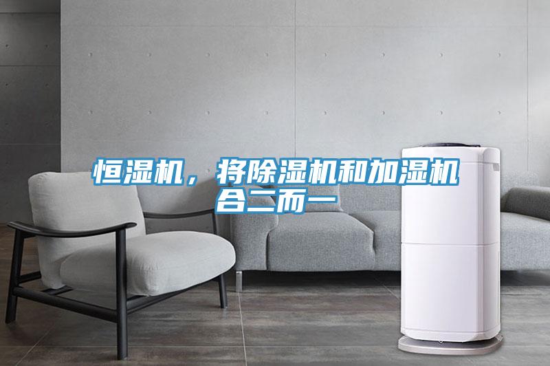 恒湿机，将除湿机和加湿机合二而一