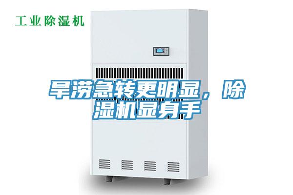 旱涝急转更明显，除湿机显身手