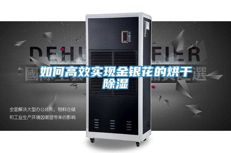 如何高效实现金银花的烘干除湿