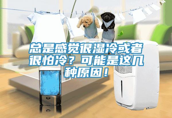 总是感觉很湿冷或者很怕冷？可能是这几种原因！