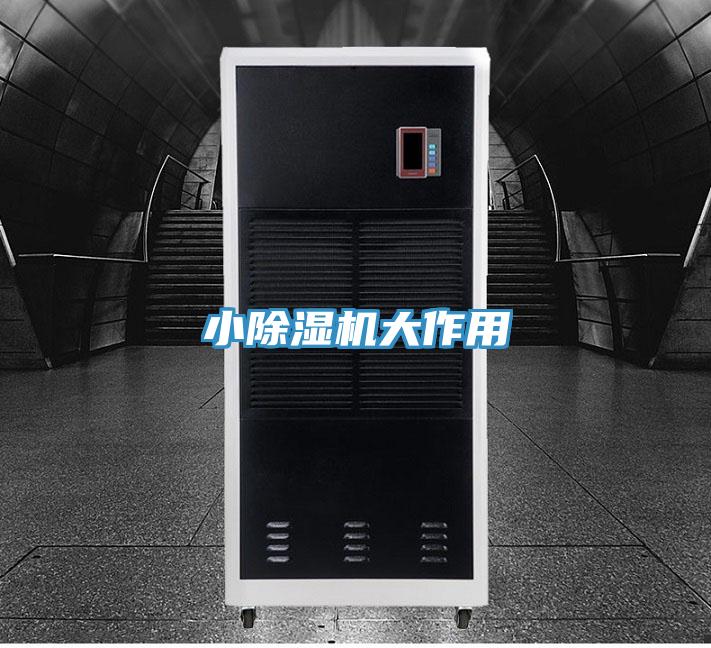 小除湿机大作用