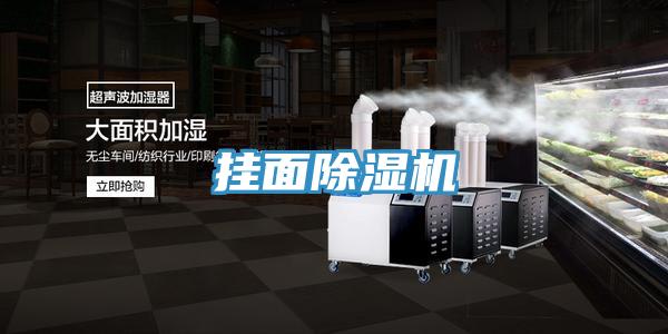 挂面除湿机