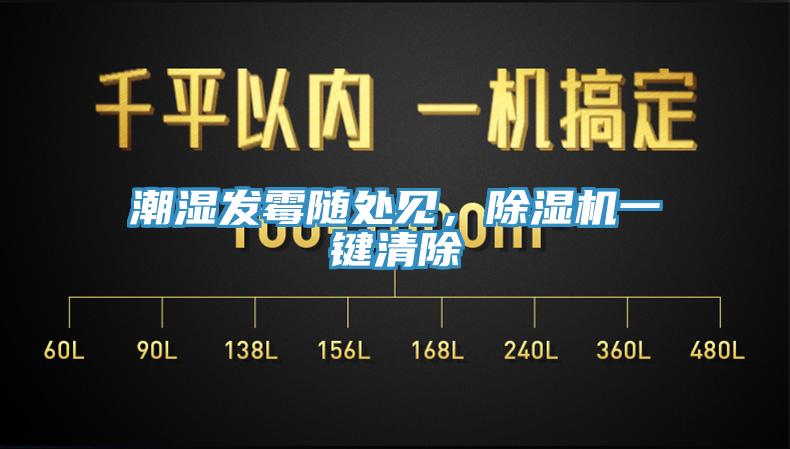 潮湿发霉随处见，除湿机一键清除