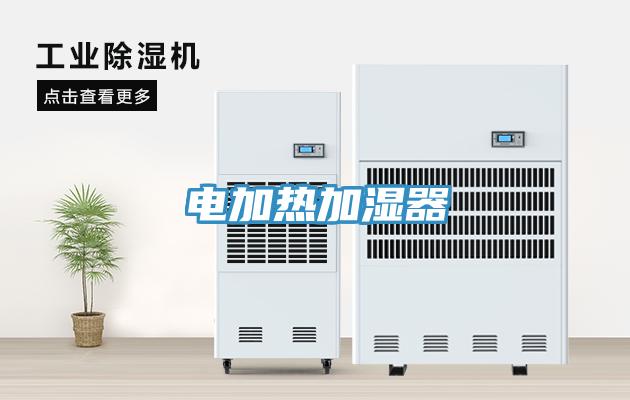 电加热加湿器