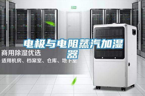 电极与电阻蒸汽加湿器