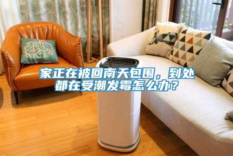 家正在被回南天包围，到处都在受潮发霉怎么办？