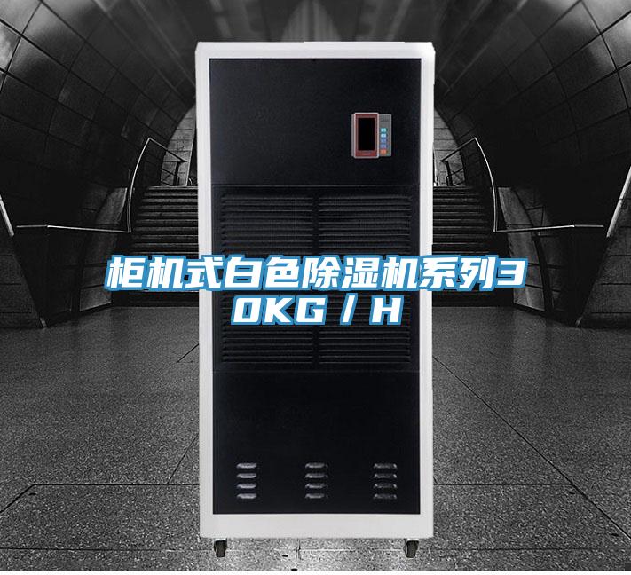 柜机式白色除湿机系列30KG/H