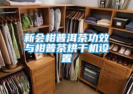 新会柑普洱茶功效与柑普茶烘干机设置