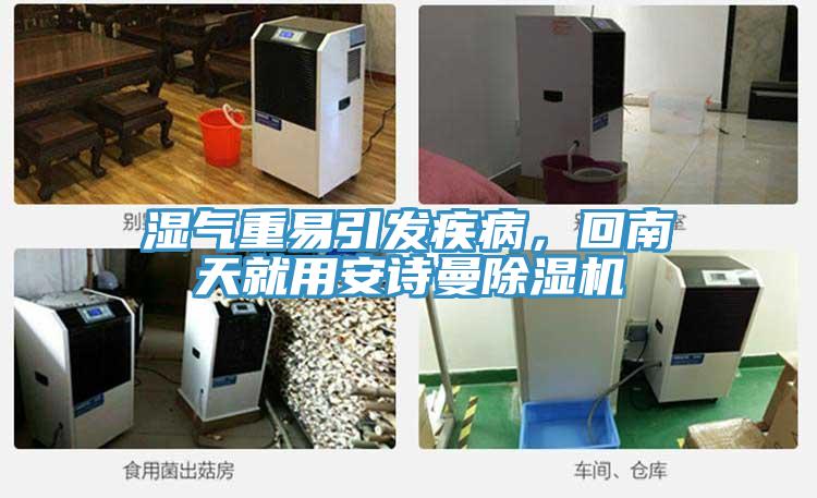 湿气重易引发疾病，回南天就用安诗曼除湿机