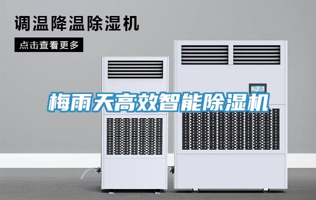 梅雨天高效智能除湿机