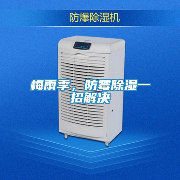 梅雨季，防霉除湿一招解决