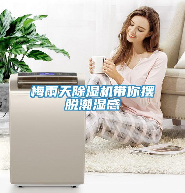 梅雨天除湿机带你摆脱潮湿感