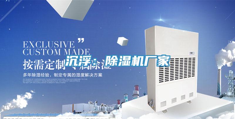 沉浮：除湿机厂家