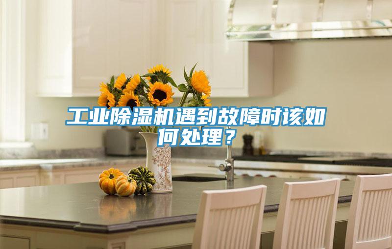 工业除湿机遇到故障时该如何处理？