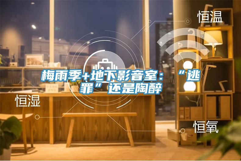 梅雨季+地下影音室：“逃罪”还是陶醉