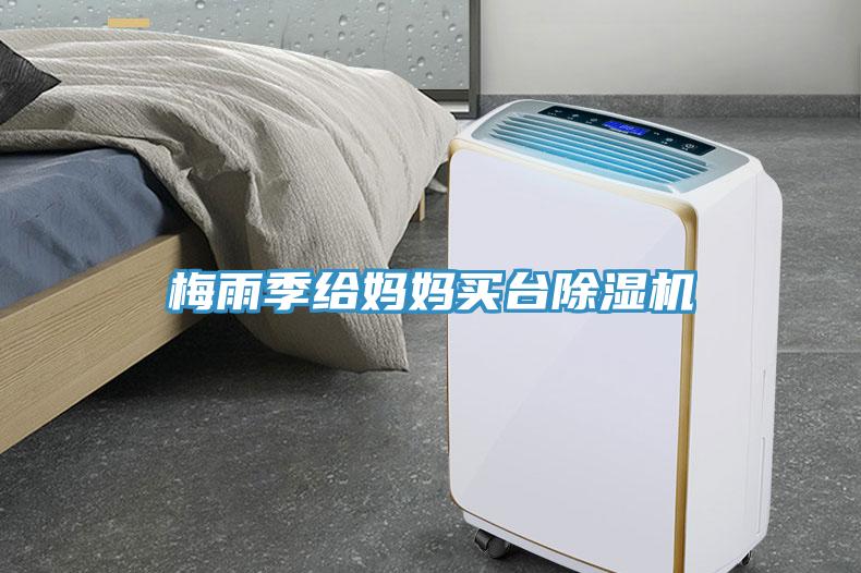 梅雨季给妈妈买台除湿机