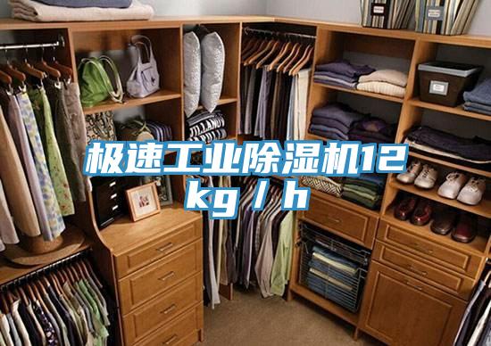 极速工业除湿机12kg／h