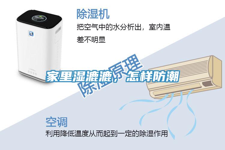 家里湿漉漉，怎样防潮