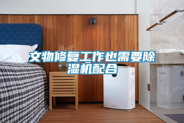 文物修复工作也需要除湿机配合