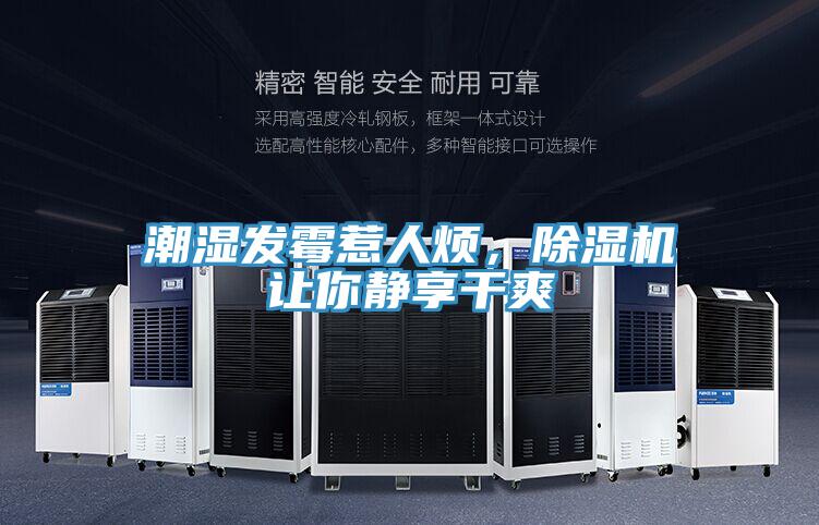 潮湿发霉惹人烦，除湿机让你静享干爽
