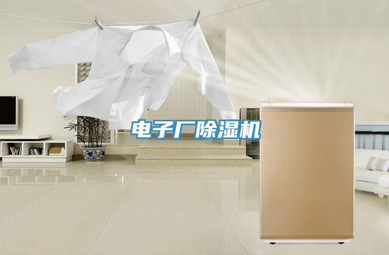 电子厂除湿机