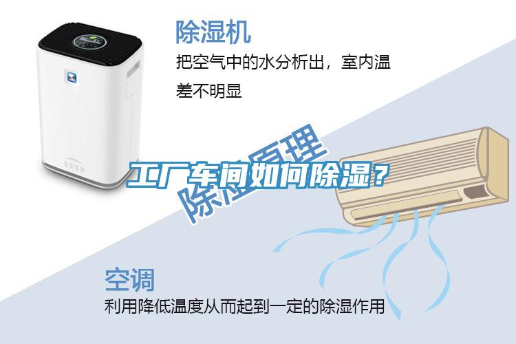 工厂车间如何除湿？