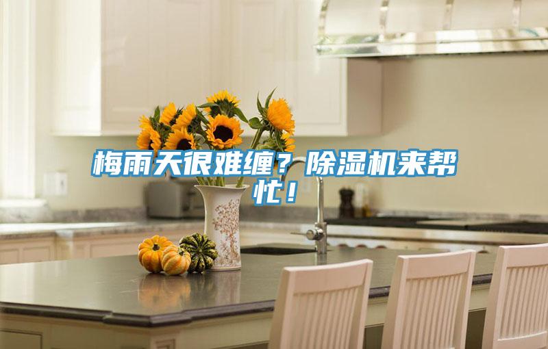 梅雨天很难缠?除湿机来帮忙!