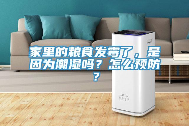 家里的粮食发霉了，是因为潮湿吗？怎么预防？