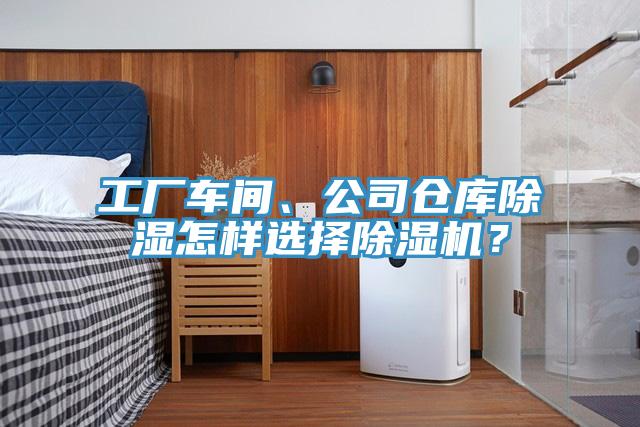 工厂车间、公司仓库除湿怎样选择除湿机？