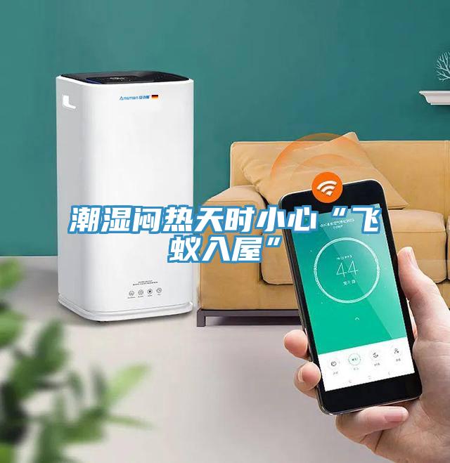 潮湿闷热天时小心“飞蚁入屋”