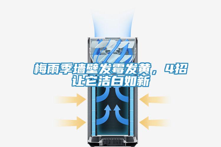 梅雨季墙壁发霉发黄，4招让它洁白如新