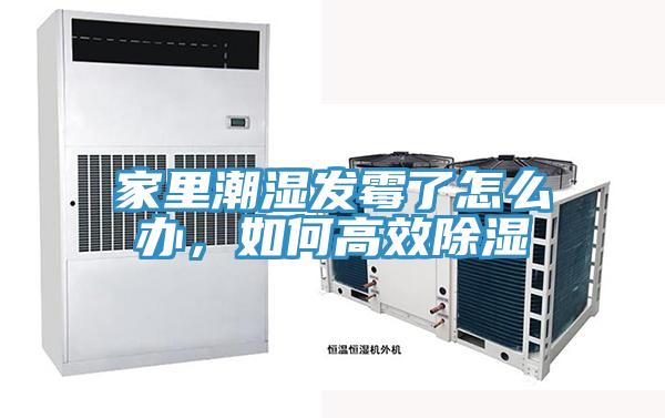 家里潮湿发霉了怎么办，如何高效除湿