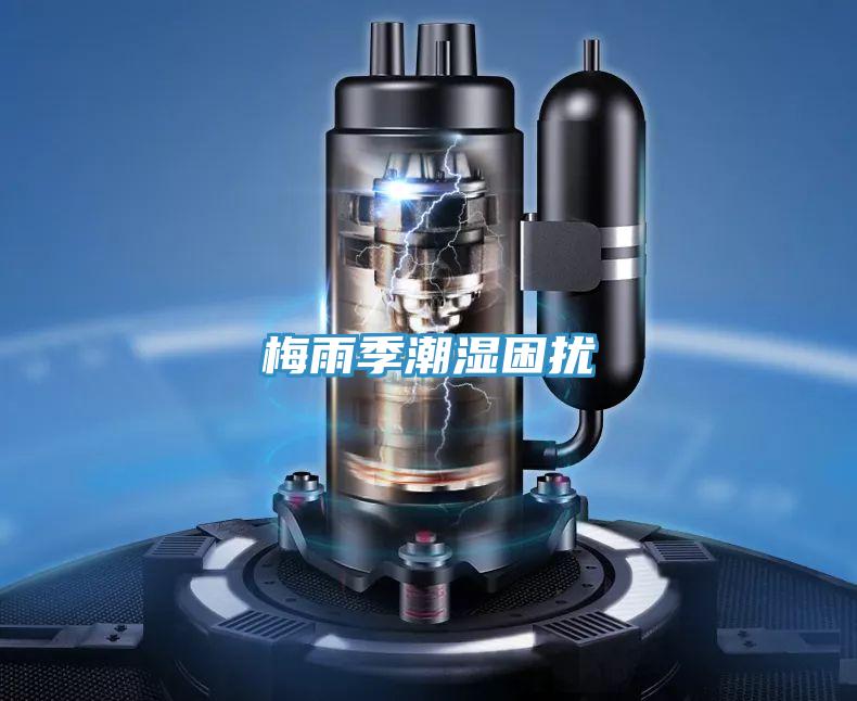 梅雨季潮湿困扰